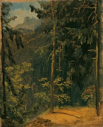 Waldweg im Harz