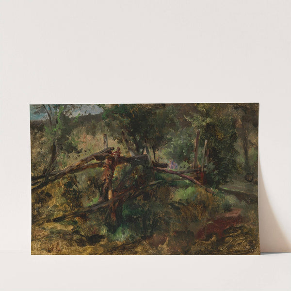 Waldweg mit Zaun by Johann Till the younger