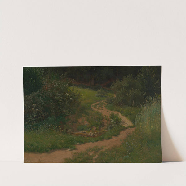 Waldwiese mit Weg und Wassertümpel by Emil Lugo