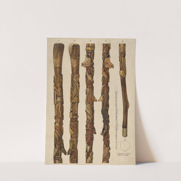 Walking Sticks by Kurt Melzer