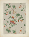 Wall Paper