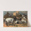 Wallachian Sheep. by John George Wood