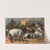 Wallachian Sheep. by John George Wood