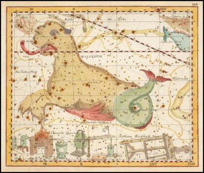 Wallfisch (1805)