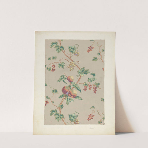 Wallpaper by Selma Sandler