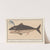 Walvis (Cetus) Walvisch Man. Cetus Mas. Baleine Mâle (1596-1610) by Anselmus Boëtius de Boodt
