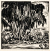Waringin (1919)