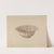 Wash Bowl by Frank Fumagalli