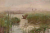 Water Hen (1894)