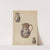 Water Jug (c. 1936) by Yolande Delasser