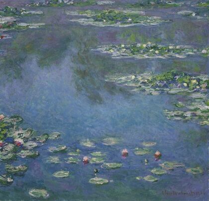 Water Lilies