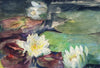 Water Lilies with Green Pads (1884)