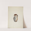 Water Pitcher by Jessie M. Youngs