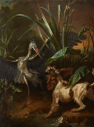 Water Spaniel Confronting a Heron  (1722)