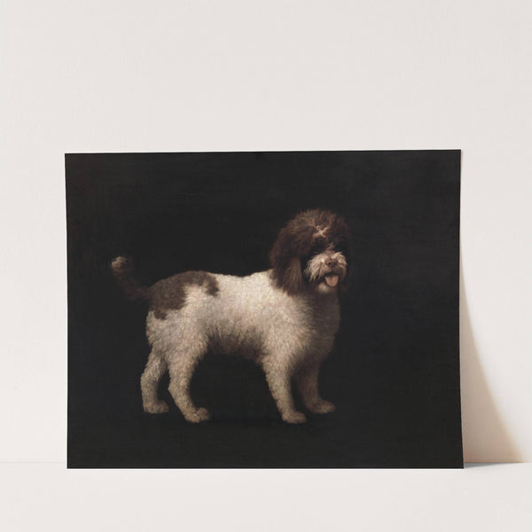 Water Spaniel (1769) by George Stubbs