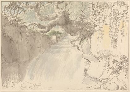 Waterfall and Tree Trunk