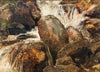 Waterfall Study, Eggedal