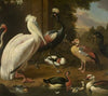 Waterfowl, Melchior de Hondecoeter