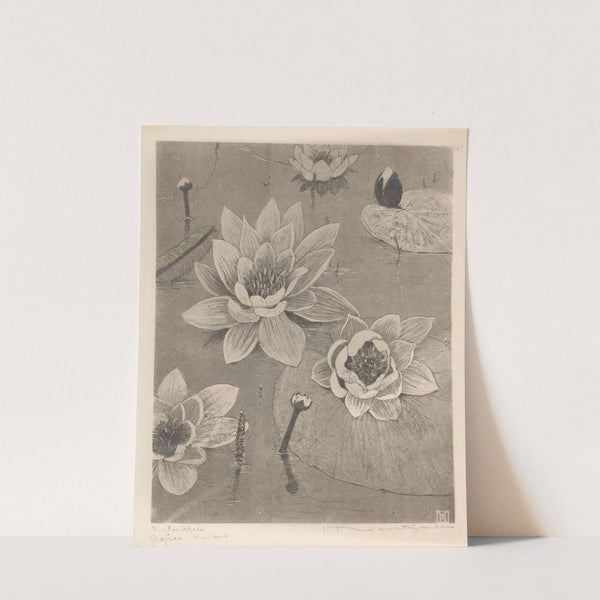 Waterlelies (1892-1940) by Henri Verstijnen