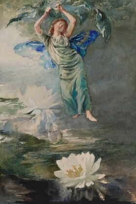 Waterlily Fairy