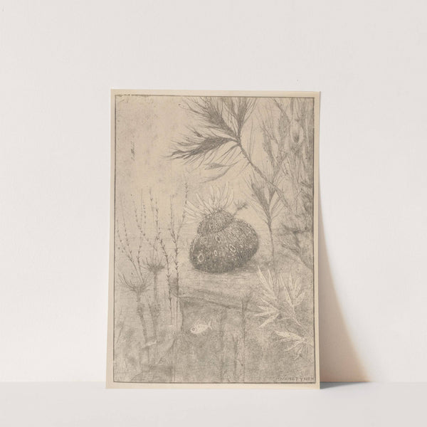 Waterplanten (1892-1940) by Henri Verstijnen