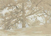 Waverly Oaks