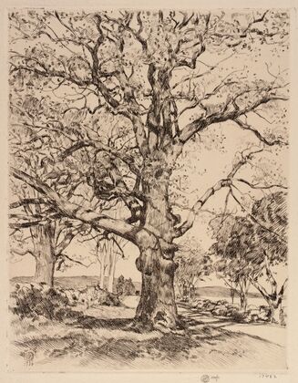 Wayside Inn Oaks in Spring (1926)
