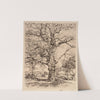 Wayside Inn Oaks in Spring (1926) by Childe Hassam