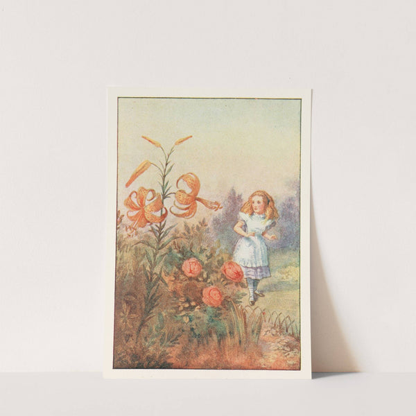 ‘We can talk,’ said the Tiger-lily, (1911) by Sir John Tenniel