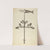 Weather Vane (1935-1942) by E.J. Gilsleider