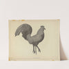 Weather Vane by Helen Blumenstiel