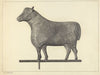 Weather Vane