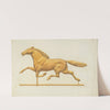 Weather Vane by Joseph Goldberg