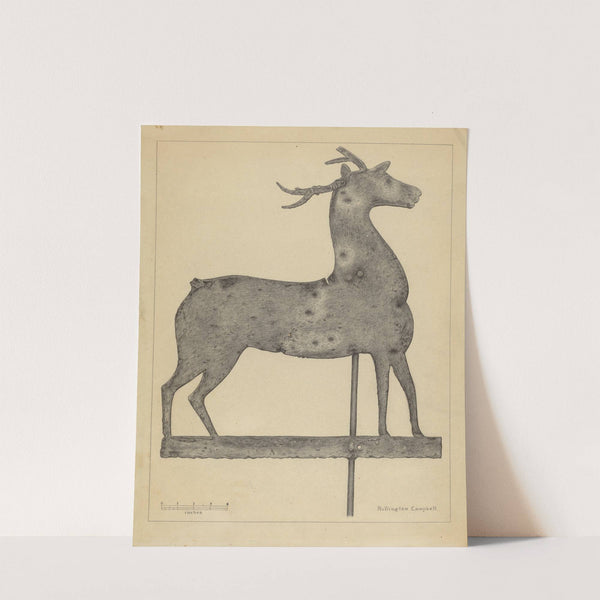 Weather Vane by Rollington Campbell