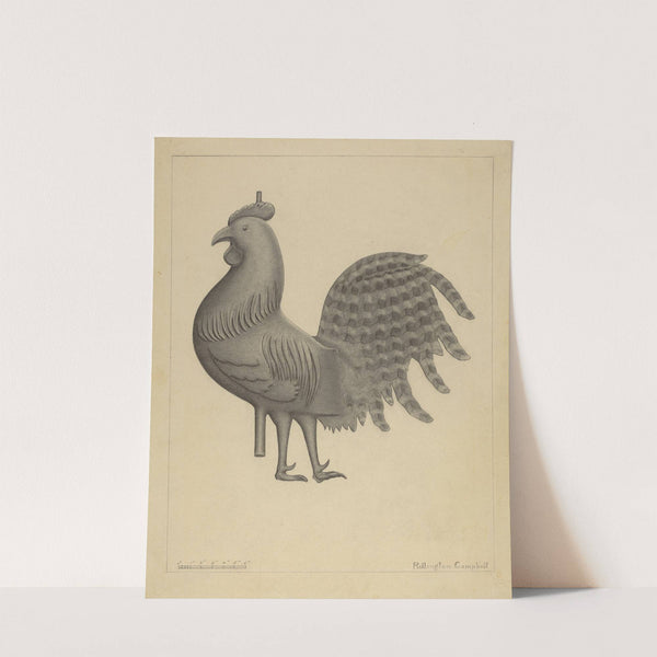 Weather Vane - Cock by Rollington Campbell