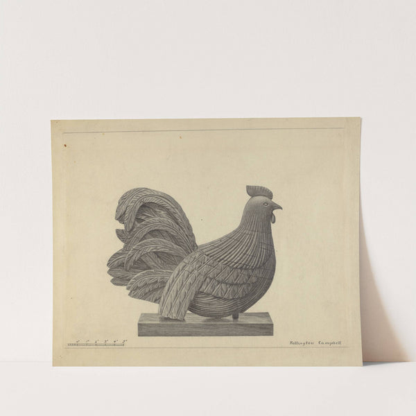 Weather Vane - Cock by Rollington Campbell