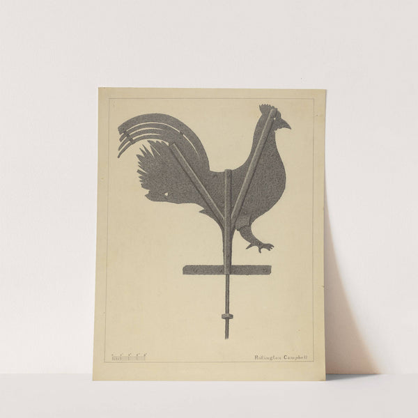 Weather Vane - Cock by Rollington Campbell