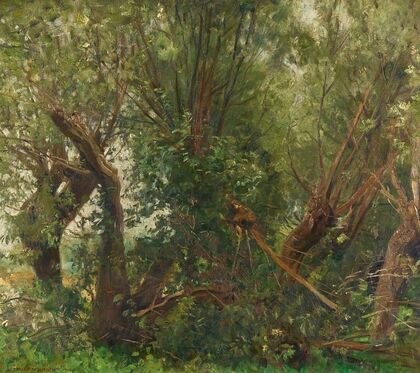 Weidenwäldchen (1905)