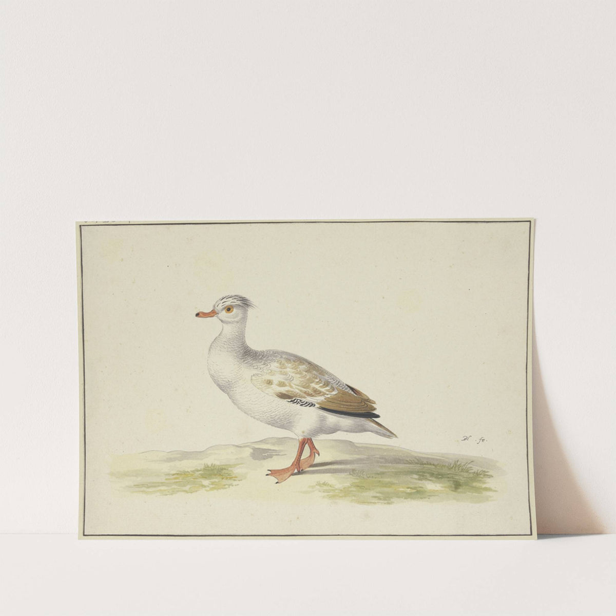 Weiße Ente mit braunen Flügeln, roten Füßen und Schnabel by Pieter Holsteijn