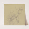Weitgehend kahler Baum in starker Untersicht by Jakob Becker