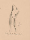 Welgeordende stommiteit (1923)