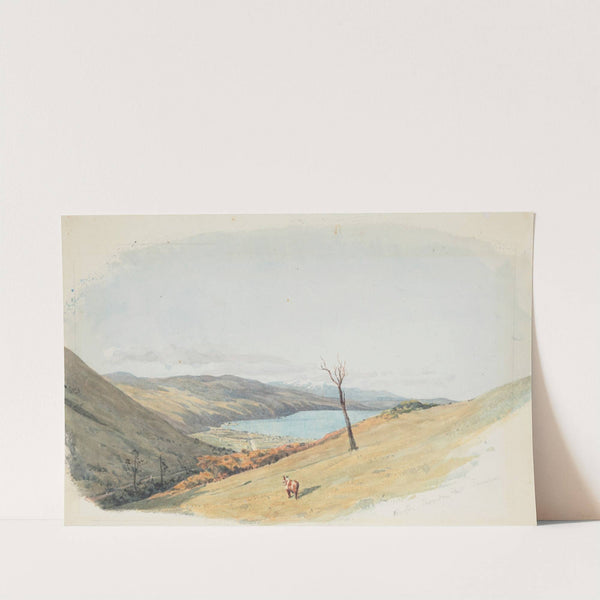 Wellington, Thorndon Flat, Tararua by James Crowe Richmond