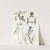 West Africa Vignettes Pl.20 by Elton Fax