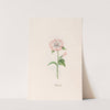 Wetter rose (1692) by Magdelena Rosina Funck