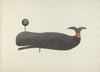 Whale Weather Vane
