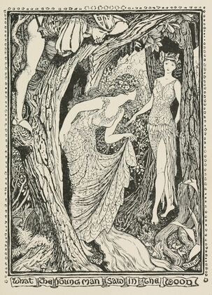 What the Young Man saw in the Wood