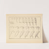 What to draw and how to draw it Pl.35 by Edwin George Lutz