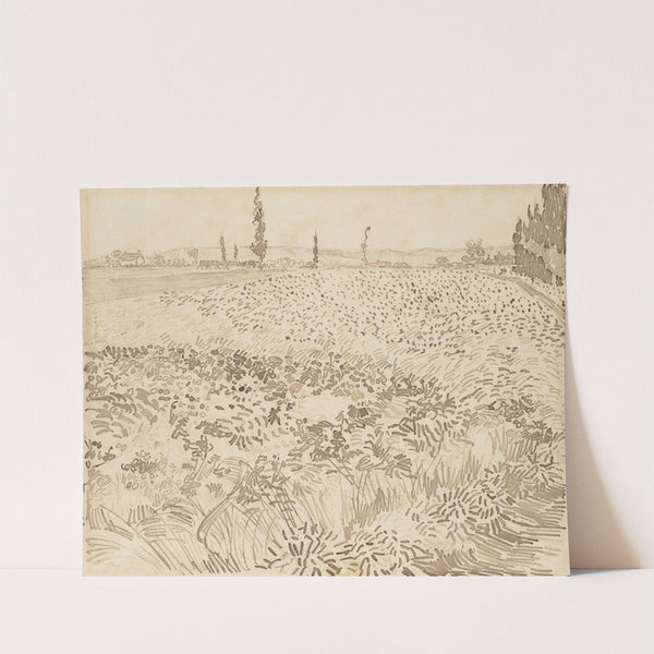 Wheat Field (1888) by Vincent van Gogh