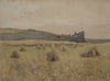 Wheatfield