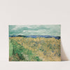 Wheatfield With Cornflowers (1890) by Vincent van Gogh